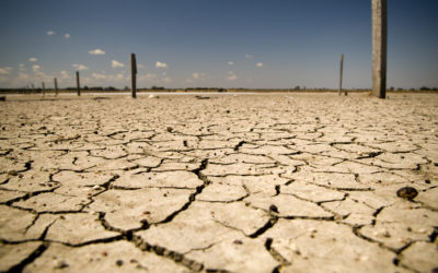 Drought policy runs dry